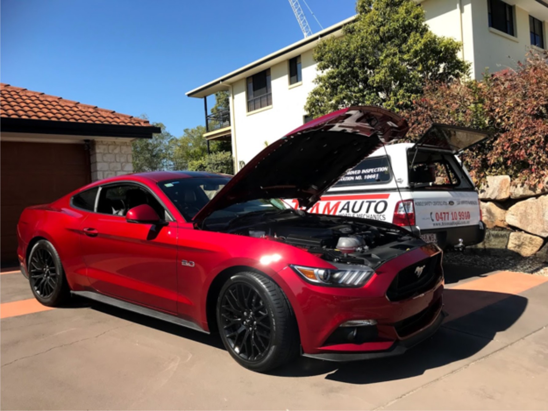 Mobile car inspection